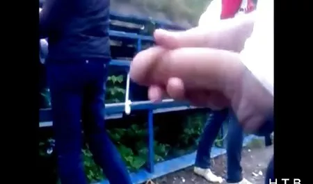 舞会女王有惊人的猫