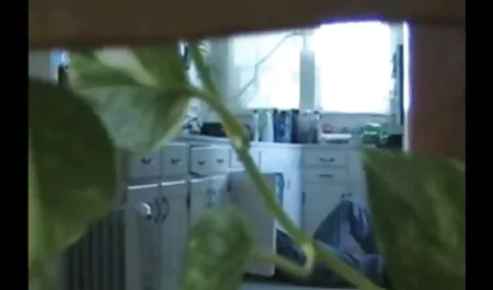 胖公鸡敲打纹身可爱